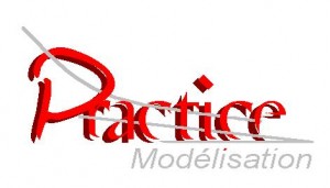 Logo Practice Modelisation
